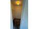 Walk-in closet with wire shelving and carpet at 4518 Commander Dr # 1918, Orlando, FL 32822