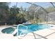 Screened pool and spa with dolphin mosaic at 4608 Cumbrian Lakes Dr, Kissimmee, FL 34746