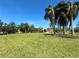 Expansive green lawn surrounded by mature palm trees in a community setting at 900 Shorehaven Drive, Poinciana, FL 34759