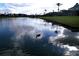 Scenic lake view with lush landscaping and homes at 1068 Lake Berkley Dr, Kissimmee, FL 34746