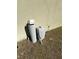 Exterior view of a water softener and filtration system at 120 Panda Way, Davenport, FL 33837