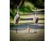 Two sandhill cranes and a chick walking on a path at 217 Montoro Ln, Davenport, FL 33837