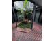 Ground level view of a courtyard with brick flooring and tropical plants at 3984 Atrium Dr # 4, Orlando, FL 32822
