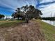 Pond-side view with a tree and grassy area at 3984 Atrium Dr # 4, Orlando, FL 32822