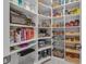 Well-organized pantry with ample shelving for food and appliance storage at 820 Windlass Ct, Kissimmee, FL 34746