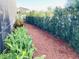 Lush landscaping along the side yard provides privacy and a natural aesthetic at 3034 Boating Blvd, Kissimmee, FL 34746