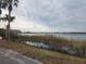 Scenic lake view with reeds and distant buildings at 10232 Turkey Lake Rd # 181, Orlando, FL 32819