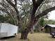 Large oak tree in the front yard of the property at 1085 Old Hickory Tree Rd, St Cloud, FL 34771