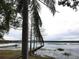 Serene lakefront property featuring a private dock and tranquil waters at 1186 Laguna Cir, St Cloud, FL 34771