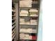 Well-organized closet with shelves for folded items and towels at 14429 Wabasso Loop, Winter Garden, FL 34787