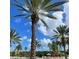 Scenic view of tall, mature palm trees set against a bright, partly cloudy sky near the community pool at 2937 Bella Flore Ter, New Smyrna Beach, FL 32168