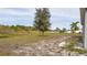 House backyard with a view of a treeline and a pond at 1067 Haines Dr, Winter Haven, FL 33881