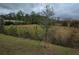 View of backyard with trees and grass at 1657 Rosydale Cir, Davenport, FL 33837