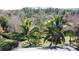 Lush backyard featuring vibrant palm trees, offering privacy and tropical appeal at 6826 Goldflower Ave, Harmony, FL 34773