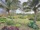 Lush backyard featuring vibrant tropical foliage, offering a serene outdoor retreat at 6826 Goldflower Ave, Harmony, FL 34773