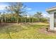 Landscaped backyard with trees and privacy fence at 8870 Backspin Ln, Champions Gate, FL 33896