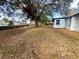 Large backyard with a mostly flat grassy area and mature trees at 7450 Crooked Lake Cir, Orlando, FL 32818