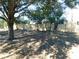 Fenced backyard with large trees providing shade at 1972 S Old Mill Dr, Deltona, FL 32725