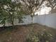 Fenced yard with a few small trees at 143 Glasgow Ct, Davenport, FL 33897