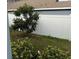 Fenced backyard with small trees at 143 Glasgow Ct, Davenport, FL 33897