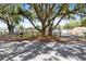 House with large oak tree and wooden fence at 4755 Oakwood Dr, St Cloud, FL 34772