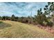 Scenic view of the property's natural surroundings and lush greenery at 2285 Palm Tree Dr, Kissimmee, FL 34759