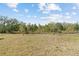 Open grassy backyard with mature trees at 2124 Live Oak Lake Rd, St Cloud, FL 34771