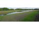 Picturesque pond with lush grassy shoreline, surrounded by verdant trees at 2797 Bookmark Dr, Kissimmee, FL 34746