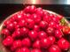 A large bowl filled with ripe acerola cherries at 4999 Disston Dr, St Cloud, FL 34771