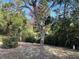 Peaceful backyard with mature trees and bird feeders at 5319 Glasgow Ave, Orlando, FL 32819