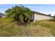 Landscaped backyard with palm trees and a large lawn at 672 San Joaquin Rd, Kissimmee, FL 34759