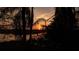 Orange sunset seen through trees and vegetation at 3000 Tohopekaliga Dr, St Cloud, FL 34772