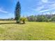 Expansive backyard with lush green grass, perfect for outdoor activities at 127 Terra Vista Ln, Kissimmee, FL 34759