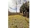 Backyard with a wooden fence and some vegetation at 656 Oakford Way, Orlando, FL 32811