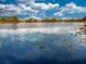 Serene lake view with lush vegetation at 111 Robbins Rest Pl, Davenport, FL 33837