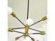 Modern gold and black chandelier at 507 Cassia Dr, Davenport, FL 33897