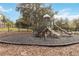 Community playground with playset and safe surface at 592 Madison Dr, Davenport, FL 33837