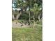 Large flock of birds feeding on the ground in backyard at 825 E Lakeshore Blvd, Kissimmee, FL 34744