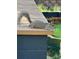 Gray squirrel sitting on a wooden deck overlooking water at 825 E Lakeshore Blvd, Kissimmee, FL 34744