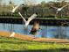 Birds fly near the water's edge of a peaceful waterfront at 825 E Lakeshore Blvd, Kissimmee, FL 34744