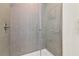 Clean and modern shower with gray tile and glass enclosure at 17354 Blessing Dr, Clermont, FL 34714