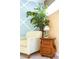 Small sitting area with a light teal wall and a small wooden table at 4525 Stella St, Kissimmee, FL 34746