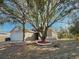 House exterior with large tree and landscaping at 248 Lindale St, Lakeland, FL 33809