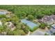 Aerial shot of the community tennis court, playground, mature trees, and the side of a residence at 2833 Oakwater Dr # 169, Kissimmee, FL 34747