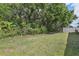 Grassy backyard with lush greenery offers a private outdoor space at 3209 Eagle Watch Dr, Kissimmee, FL 34746