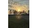 Beautiful sunset view over a flat, grassy landscape with a line of trees at 3449 N Canoe Creek Rd, Kenansville, FL 34739