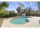 Backyard with fenced pool surrounded by trees and greenery at 45 S Edgemon Ave, Winter Springs, FL 32708