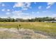 Open land with scattered trees and chickens at 4771 Deen Still Rd, Polk City, FL 33868