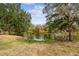 Serene pond surrounded by lush vegetation at 4771 Deen Still Rd, Polk City, FL 33868