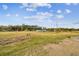 Open field with distant trees and a few chickens at 4771 Deen Still Rd, Polk City, FL 33868